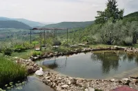 Convert your vacation into a highly regenerating life experience.