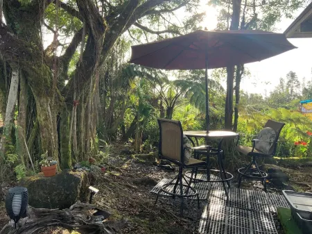 Cozy cabin under majestic banyan tree
