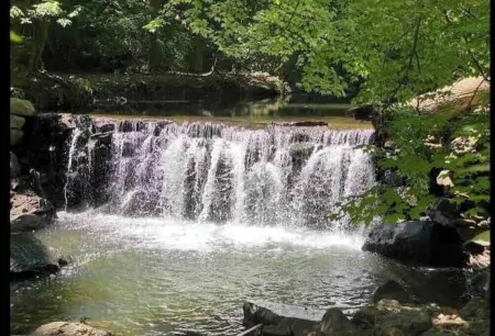 Mainline Retreat  with view 3 bdrm private home