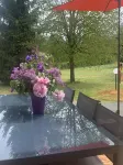 Gîte in the heart of the Périgord Noir in a large, wooded park, in a peaceful setting.