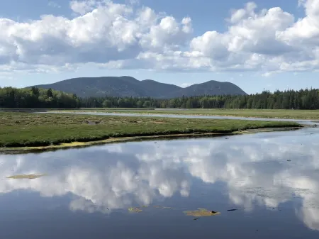 Rustic vintage cottage in Duck Cove with limited ocean view.