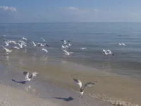 Breakers West 2 Bedroom Luxury Beach  Condo