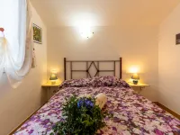 Garden - Homestays