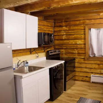 Petite Cabin With Ladder Loft