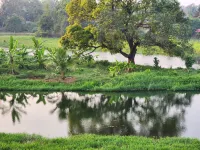 Riverscape Tranquil Serviced Apartments