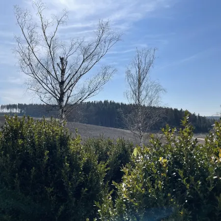 Ferienhaus Hopfental