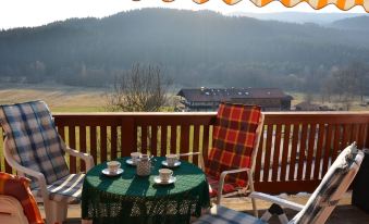Comfort Apartment with Balcony in the Beautiful Bavarian Forest