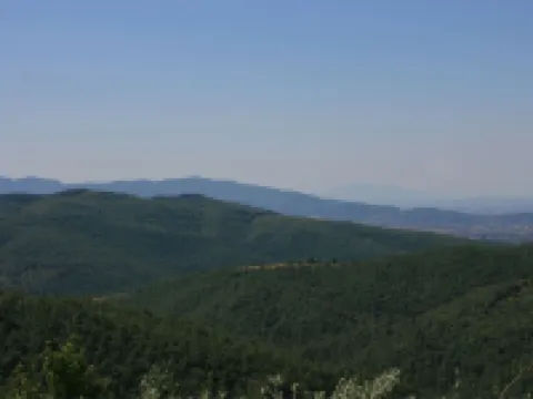 La Casina del Bosco Hotéis em Citerna