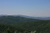La Casina del Bosco