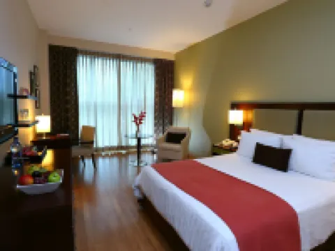 Hotel Ciudad De David Hoteles en David