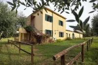 Agriturismo la Petrosa Hotels in Ascea