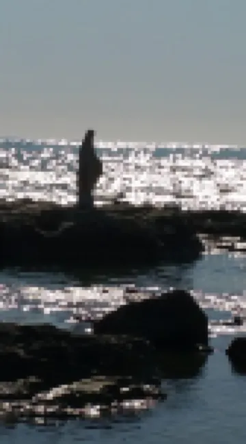 Sole Mare E Relax Per Vacanze