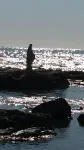 Sole Mare E Relax Per Vacanze Hotels in Montallegro