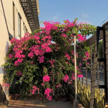 Bianco Hotel Boutique