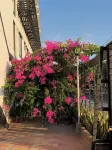 Bianco Hotel Boutique Hotel a Cucuta