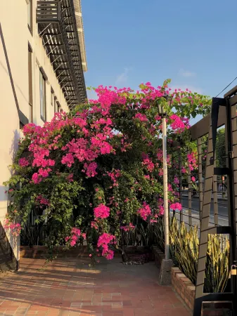 Bianco Hotel Boutique Отели в г. Каката