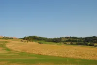 Lina - Podere Ribatti Casole d'Elsa