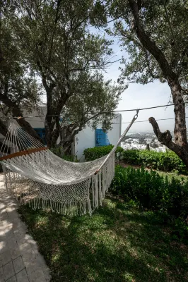 La Villa Des Oliviers Hotels near Centro di Sidi Bou Said