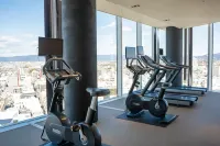 豐橋阿爾克利希酒店 - 健身室/gym room