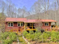 Peaceful Mountain Cabin Nestled on 3.5 Acres - Multi-Tier Deck, Creek Access!