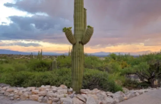 Family Friendly Modern Foothills Pool Hot Tub Sleeps16