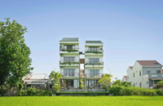 เจด ฮอยอัน ไรซ์ แพดดี้ส์