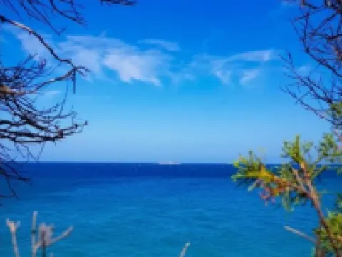 Hotel les Palmes d'Or Hotels in Houmt Souk