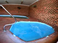 Horsham Mid City Court Motel - spa