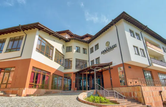 阿巴納西公園酒店