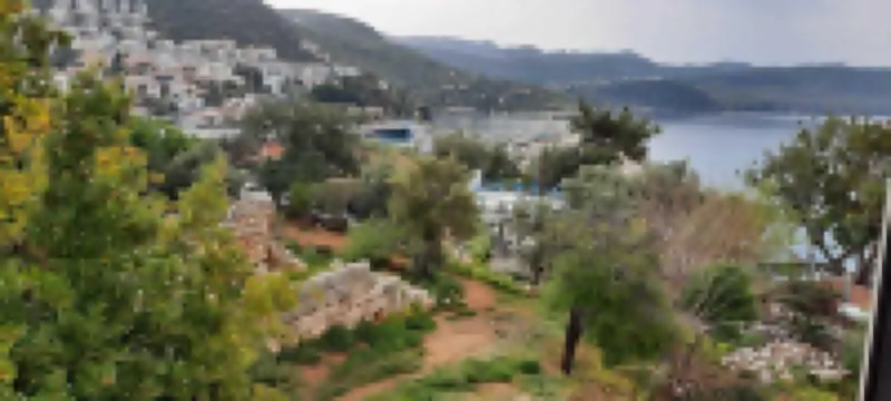 ヤリ パンシヨン