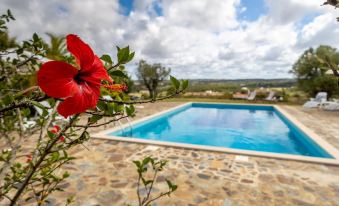 Monte Cerro da Vigia by Vacationy