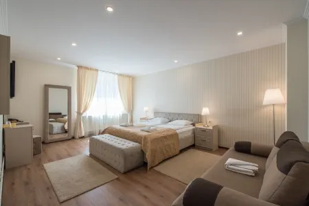 Pensiunea David Отели рядом с достопримечательностью «The Palace of Culture in Târgu Mureș»