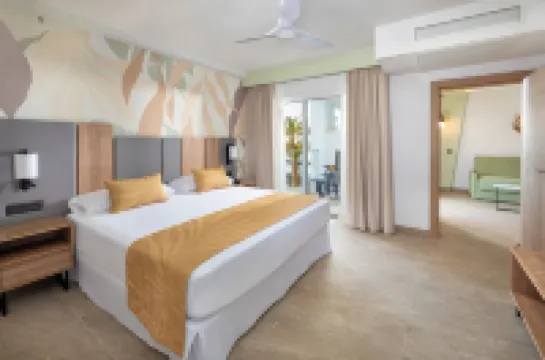 리우 팰리스 마스팔로마스