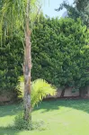 Pandora Villas - Villaer