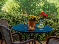 Residence e B&B Villamirella Hotels in Centola