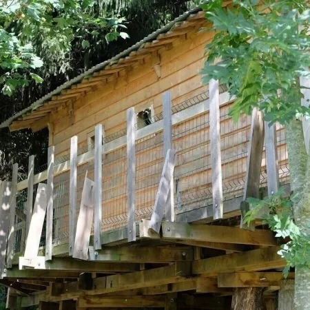 Cabane Dans les Arbres - Tree House
