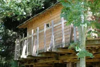 Cabane Dans les Arbres - Tree House - Pools