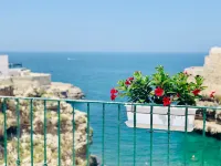 بوسيا - بولينيانو سي سويتس
