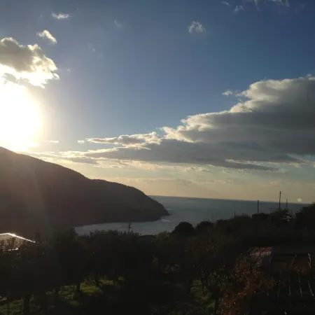 B&B Belvedere
