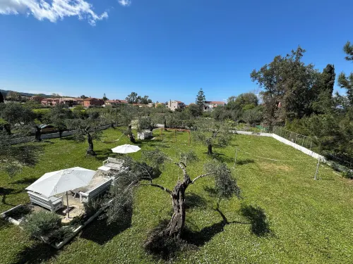 Olive Garden Studios & Apartments - Homestays