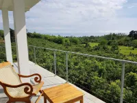 Bobos Cinnamon Estate  Sri Lanka Hotels in Kosgoda