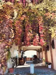 Agriturismo la Lupa Hotels in Vignola