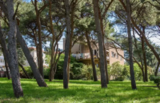 Best Location Apartments