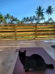 Les Rizieres Lombok - Tetebatu Hotel di Kembang Kuning