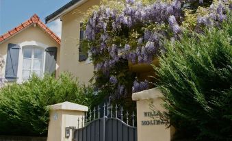 Chambre d'Hôtes la Villa Molina