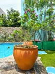 Best Western Posada Chahue - Pools