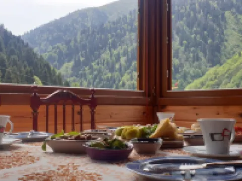 Ayder Suit Hotels in Yukarisimsirli Koyu