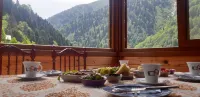 Ayder Suit Hotels in Yukarışimşirli