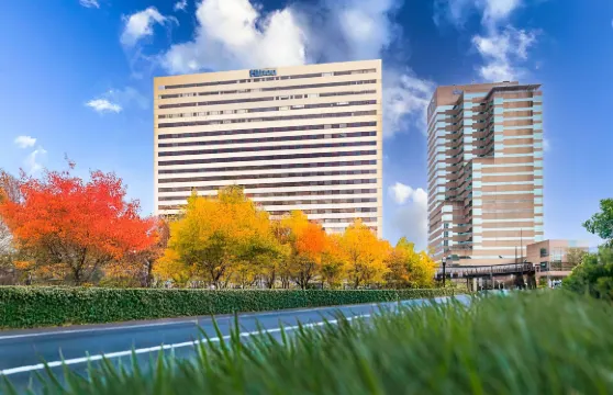 列剋星敦市中心希爾頓酒店