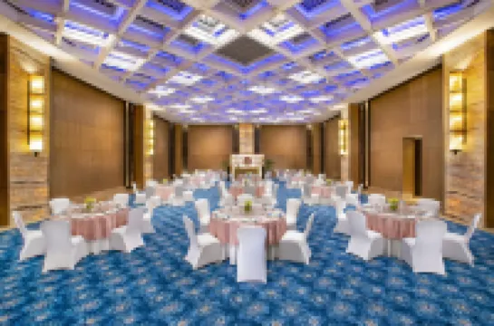 The Leela Ambience Convention Hotel Delhi